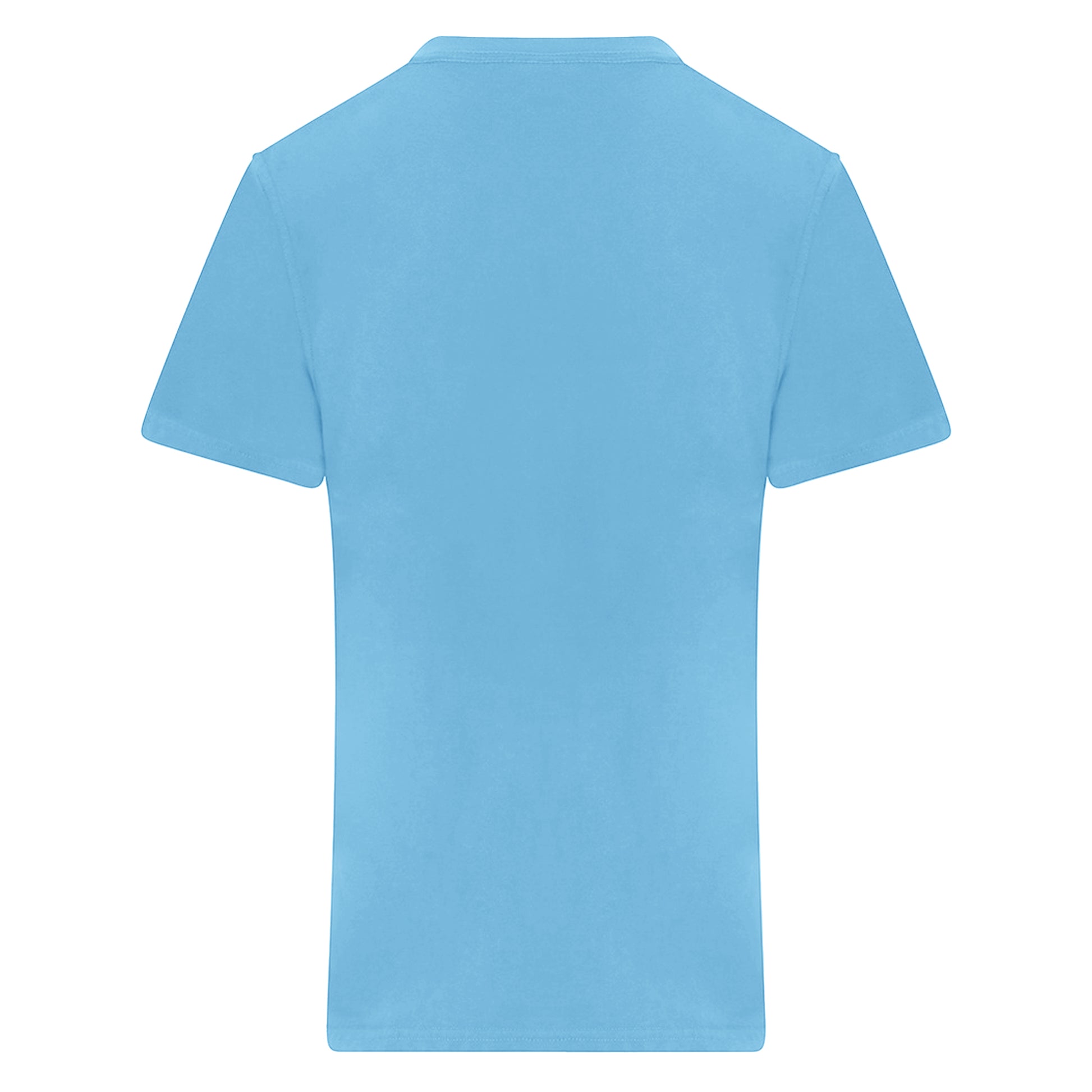 Sky Blue - Back - PRO RTX Mens Pro T-Shirt