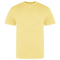 Sherbet Lemon - Front - AWDis Just Ts Mens The 100 T-Shirt