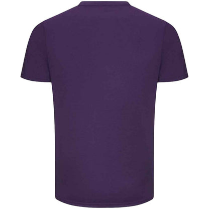 Purple - Back - AWDis Just Ts Mens The 100 T-Shirt