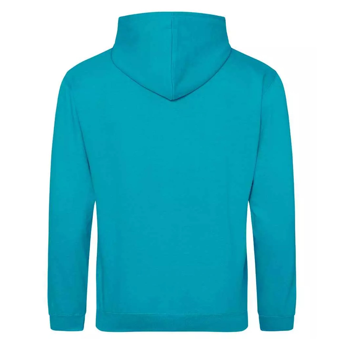 Lagoon Blue - Back - Awdis Unisex Adult College Hoodie