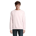 Pale Pink - Back - SOLS Unisex Adult Space Organic Raglan Sweatshirt