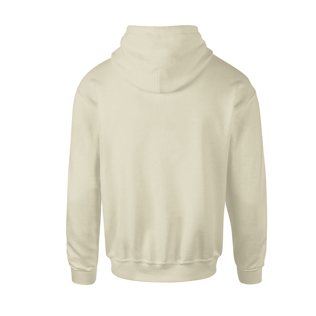 Eco Raw - Back - Anthem Mens Organic Hoodie