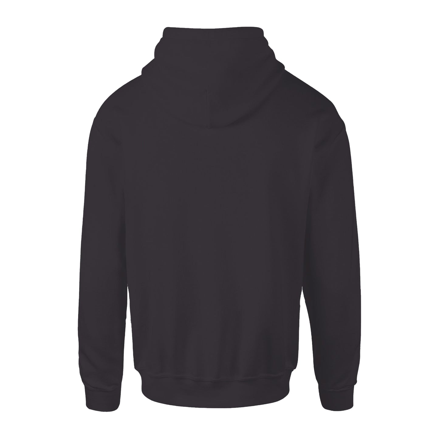Charcoal - Back - Anthem Mens Organic Hoodie