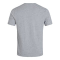 Grey Marl - Back - Canterbury Unisex Adult Club Plain T-Shirt