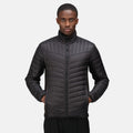 Black - Back - Regatta Mens Tourer Hybrid Padded Jacket