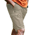 Pebble - Back - Craghoppers Mens Expert Kiwi Shorts