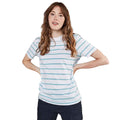 White-Duck Egg Blue - Back - Front Row Unisex Adult Striped T-Shirt