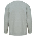 Heather Grey - Lifestyle - SF Unisex Adult Fashion Sustainable Sweatshirt