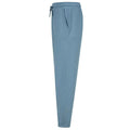 Stone Blue - Back - SF Unisex Adult Sustainable Cuffed Jogging Bottoms
