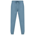 Stone Blue - Front - SF Unisex Adult Sustainable Cuffed Jogging Bottoms