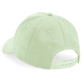 Pistachio - Back - Beechfield Childrens-Kids Organic Cotton 5 Panel Baseball Cap