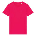 Raspberry Sorbet - Front - Native Spirit Womens-Ladies T-Shirt