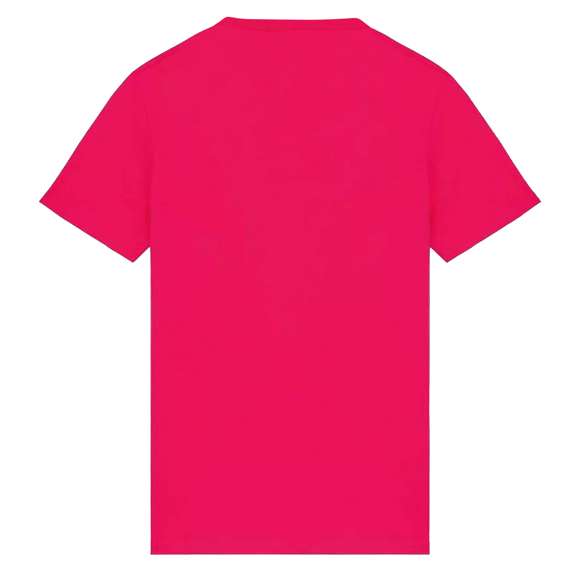 Raspberry Sorbet - Back - Native Spirit Womens-Ladies T-Shirt