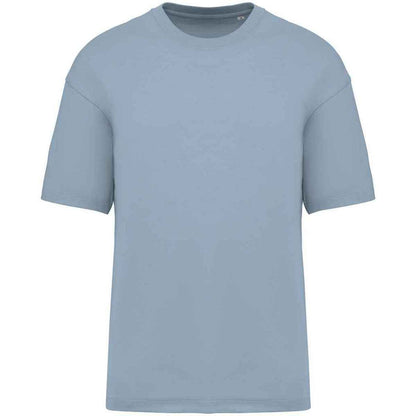 Aquamarine - Front - Native Spirit Mens Oversized T-Shirt