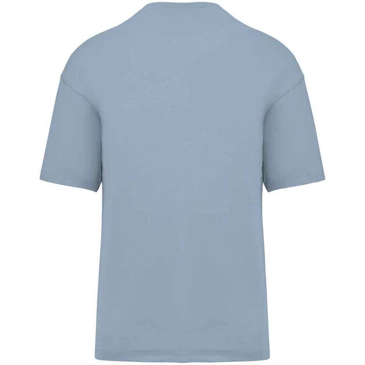 Aquamarine - Back - Native Spirit Mens Oversized T-Shirt