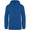 Sea Blue - Front - Native Spirit Childrens-Kids Hoodie