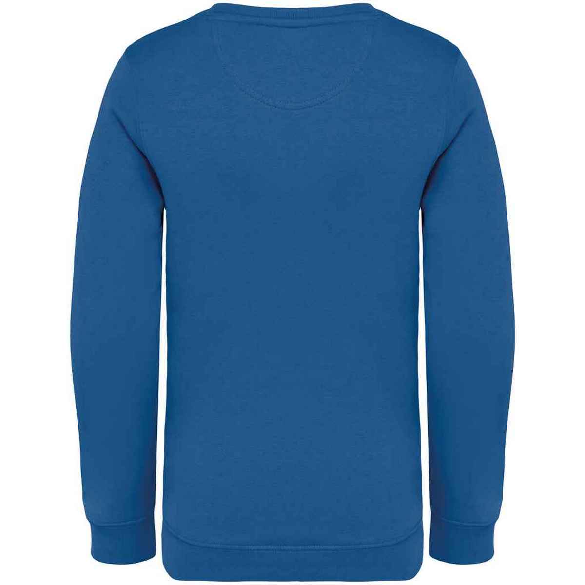 Sea Blue - Back - Native Spirit Childrens-Kids Sweatshirt