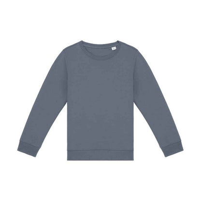 Mineral Grey - Front - Native Spirit Childrens-Kids Sweatshirt