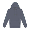 Mineral Grey - Front - Native Spirit Unisex Adult Heavyweight Hoodie