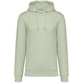 Celadon Green - Front - Native Spirit Unisex Adult Heavyweight Hoodie