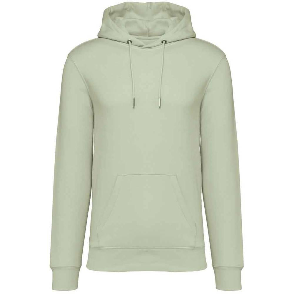 Celadon Green - Front - Native Spirit Unisex Adult Heavyweight Hoodie