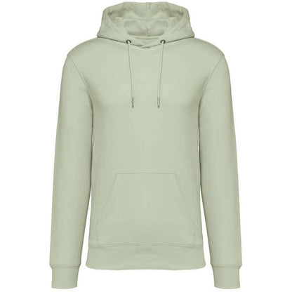 Celadon Green - Front - Native Spirit Unisex Adult Heavyweight Hoodie