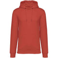 Paprika - Front - Native Spirit Unisex Adult Heavyweight Hoodie