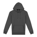 Iron Grey - Front - Native Spirit Unisex Adult Heavyweight Hoodie