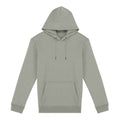 Almond Green - Front - Native Spirit Unisex Adult Heavyweight Hoodie