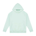 Brook Green - Front - Native Spirit Unisex Adult Oversized Hoodie