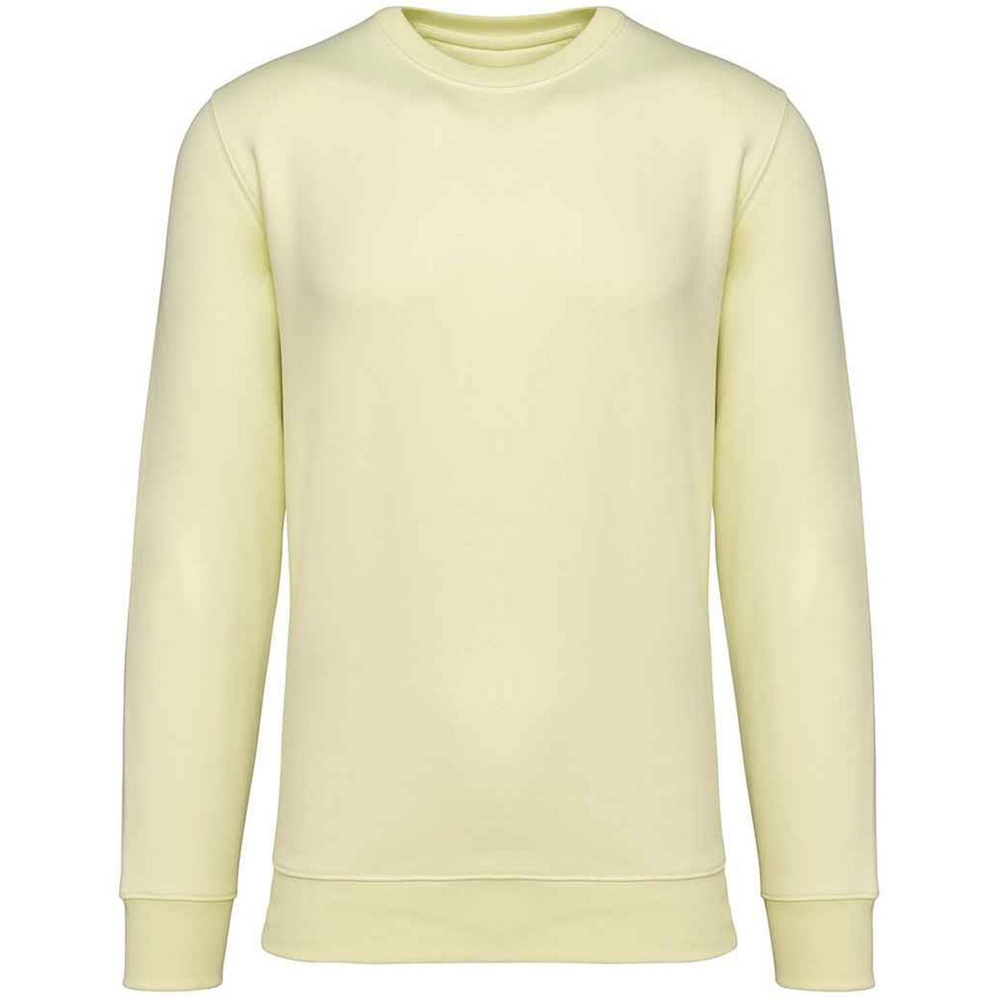 Lemon Citrus - Front - Native Spirit Unisex Adult Crew Neck Sweatshirt