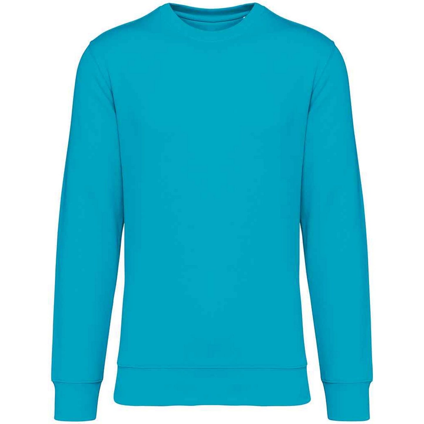 Light Turquoise - Front - Native Spirit Unisex Adult Crew Neck Sweatshirt