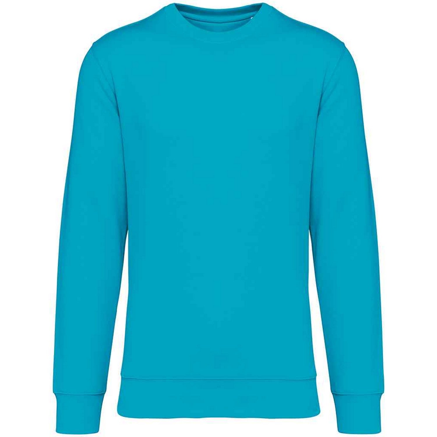 Light Turquoise - Front - Native Spirit Unisex Adult Crew Neck Sweatshirt
