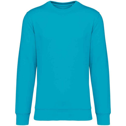 Light Turquoise - Front - Native Spirit Unisex Adult Crew Neck Sweatshirt