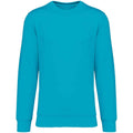 Light Turquoise - Front - Native Spirit Unisex Adult Crew Neck Sweatshirt