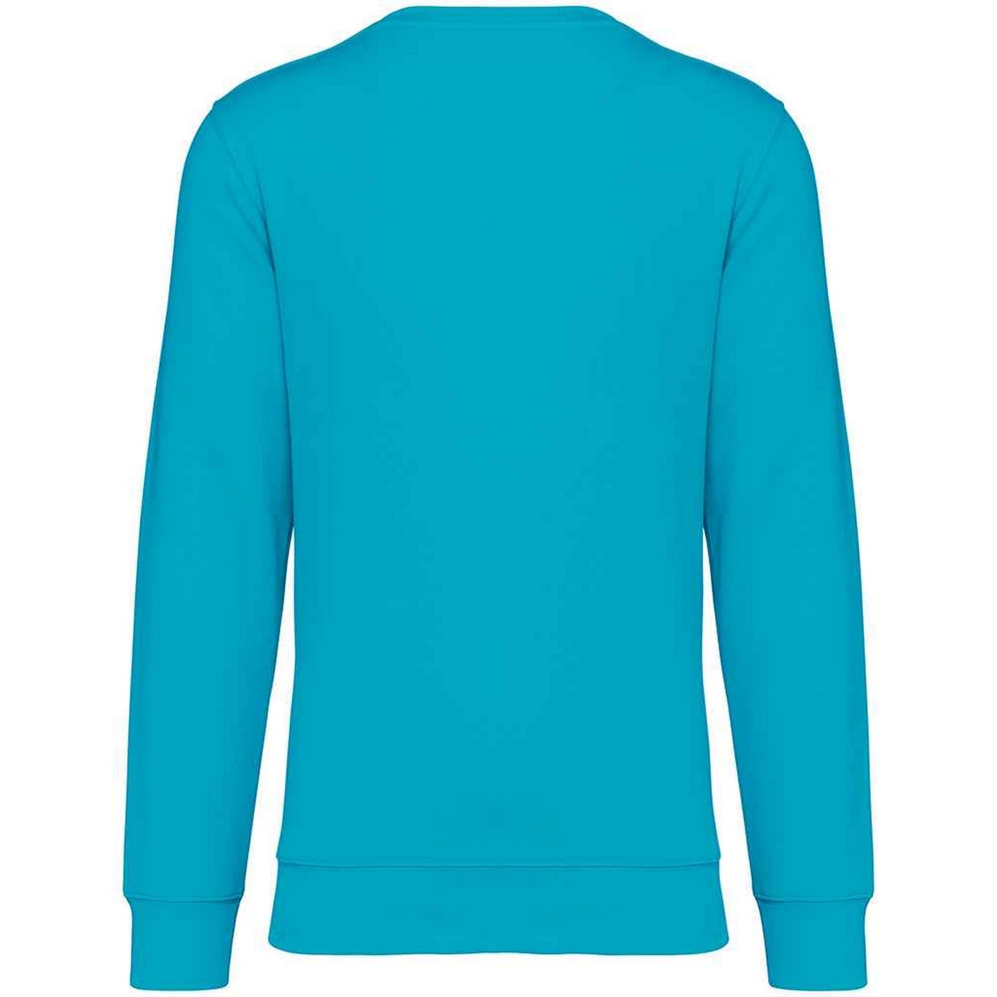 Light Turquoise - Back - Native Spirit Unisex Adult Crew Neck Sweatshirt