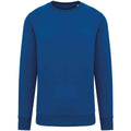 Sea Blue - Front - Native Spirit Unisex Adult Crew Neck Sweatshirt