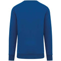 Sea Blue - Back - Native Spirit Unisex Adult Crew Neck Sweatshirt