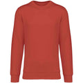 Paprika - Front - Native Spirit Unisex Adult Crew Neck Sweatshirt