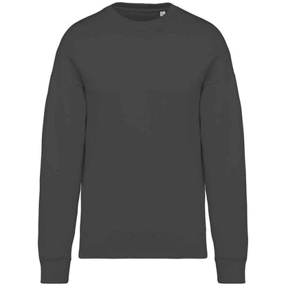 Iron Grey - Front - Native Spirit Womens-Ladies Oversized Sweatshirt