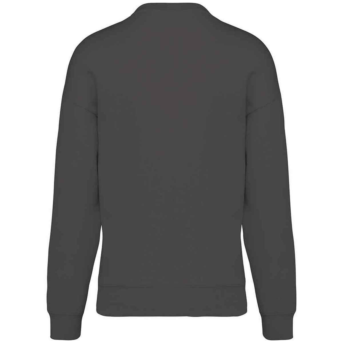 Iron Grey - Back - Native Spirit Womens-Ladies Oversized Sweatshirt
