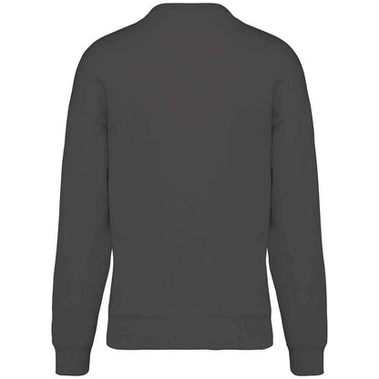 Iron Grey - Back - Native Spirit Womens-Ladies Oversized Sweatshirt