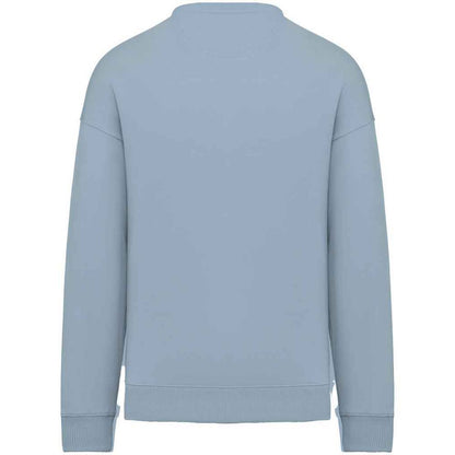 Aquamarine - Back - Native Spirit Womens-Ladies Oversized Sweatshirt