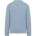 Aquamarine - Back - Native Spirit Womens-Ladies Oversized Sweatshirt