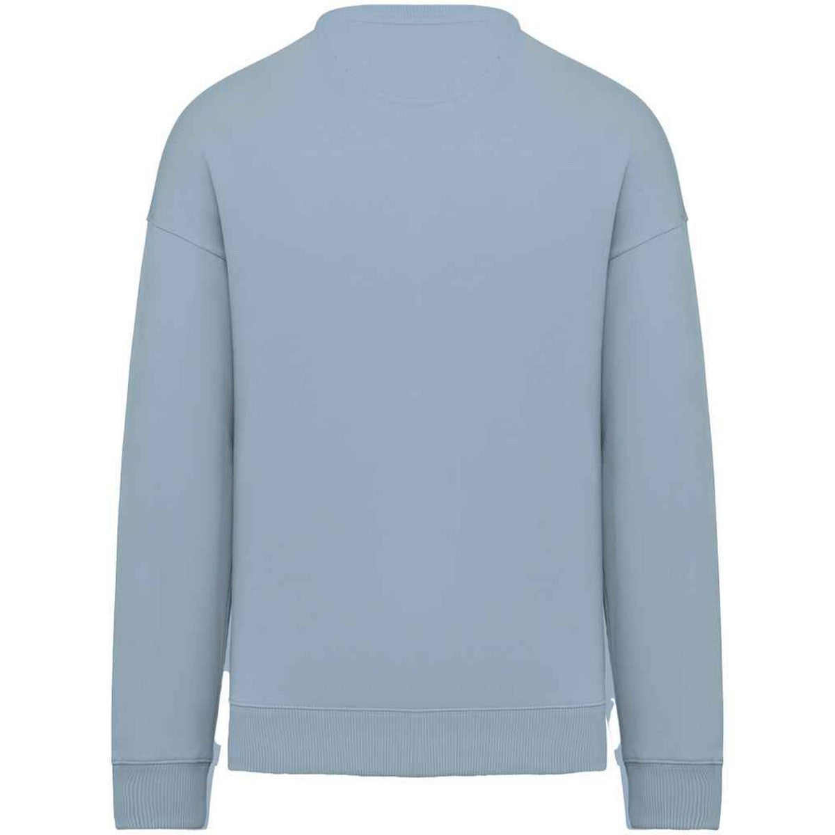 Aquamarine - Back - Native Spirit Womens-Ladies Oversized Sweatshirt