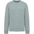 Jade Green - Front - Native Spirit Womens-Ladies Oversized Sweatshirt