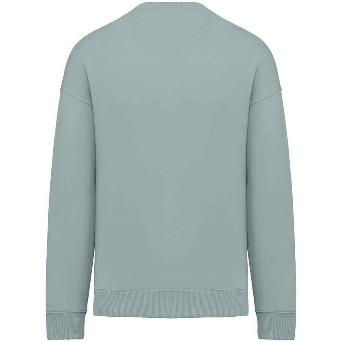 Jade Green - Back - Native Spirit Womens-Ladies Oversized Sweatshirt