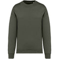 Organic Khaki - Front - Native Spirit Womens-Ladies Oversized Sweatshirt