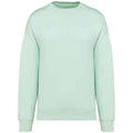 Brook Green - Front - Native Spirit Womens-Ladies Oversized Sweatshirt