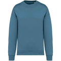 Adriatic Blue - Front - Native Spirit Womens-Ladies Oversized Sweatshirt